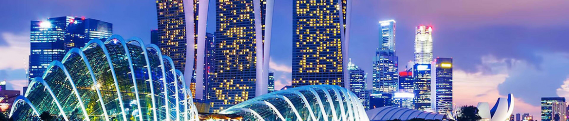Singapore - thành phố thông minh trên thế giới